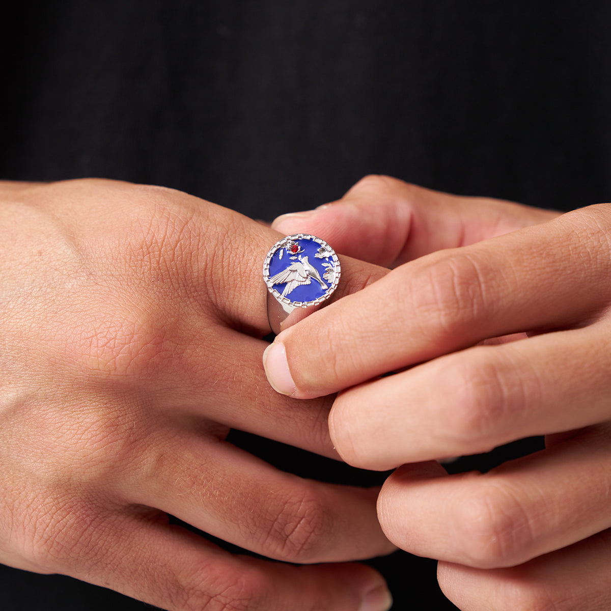 Anello Sigillo Smaltato con Swallow (Argento)