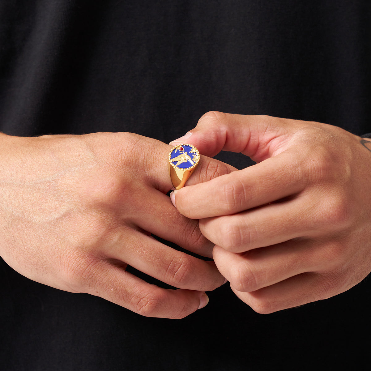 Anello Signet in Smalto con Swallow (Oro)