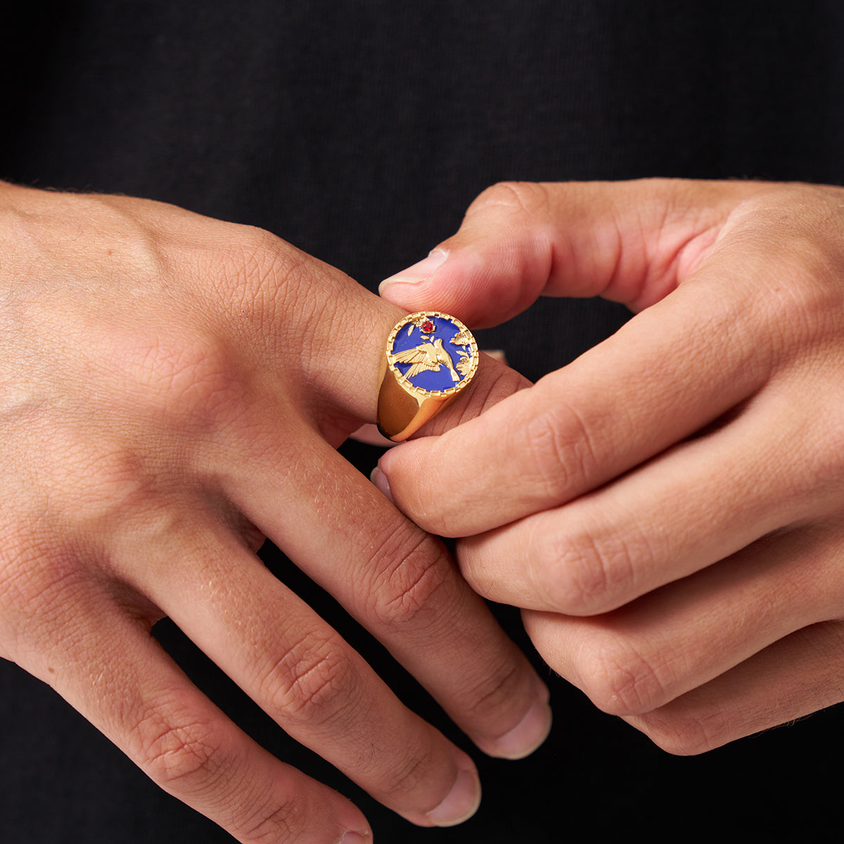 Anello Signet in Smalto con Swallow (Oro)