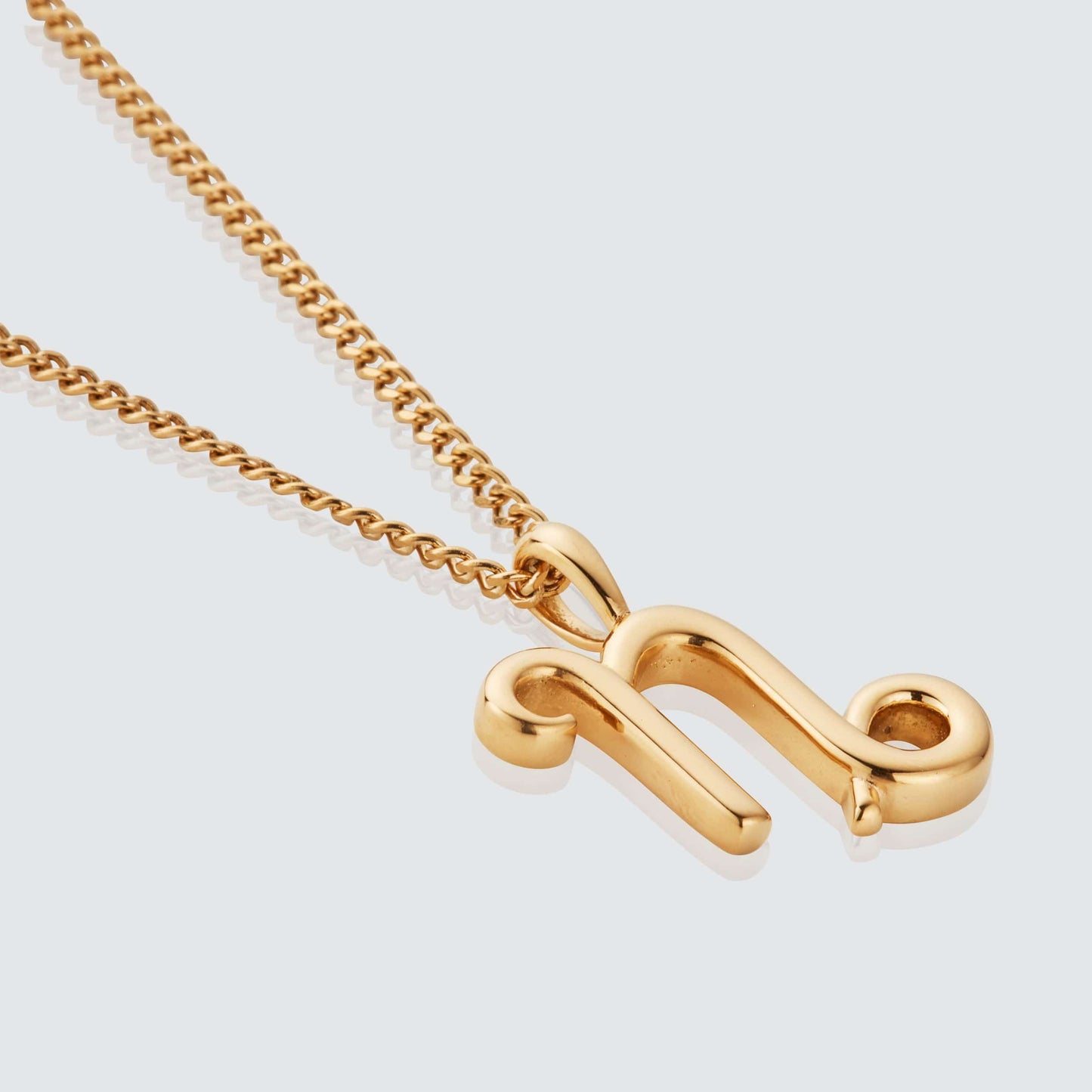 Capricorno (Oro)