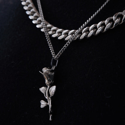Rosa (Argento)