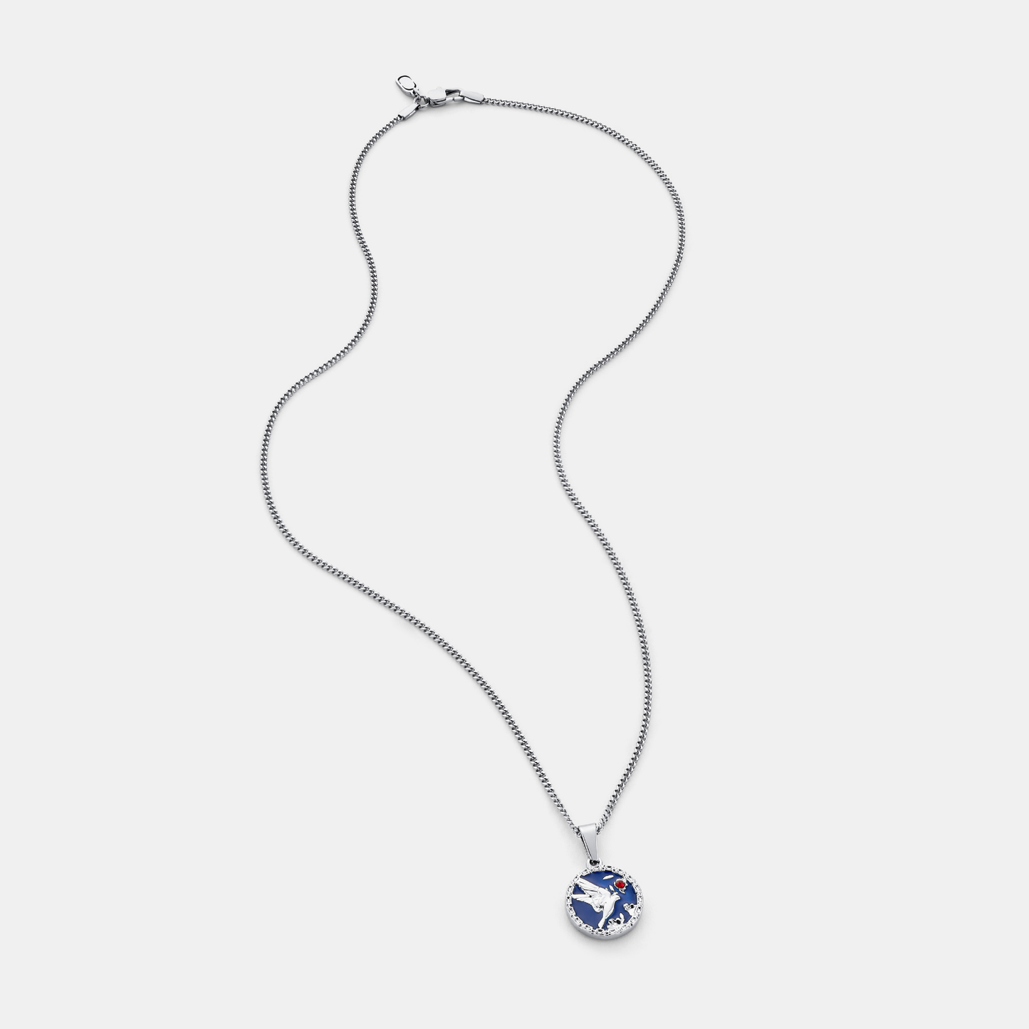 Ciondolo in Smalto con Rondine (Argento)